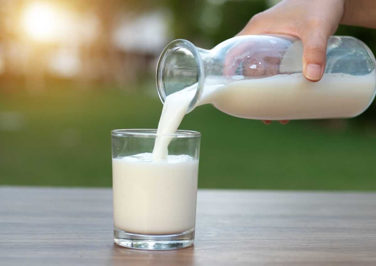 Süt Proteini Alerjisi Nedir Teşhis Nasıl Koyulur