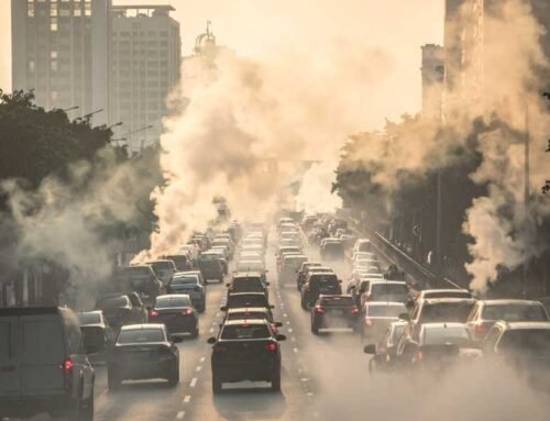 Hava çirkliliyi və astma: şəhər mühitində necə qorunmaq olar?