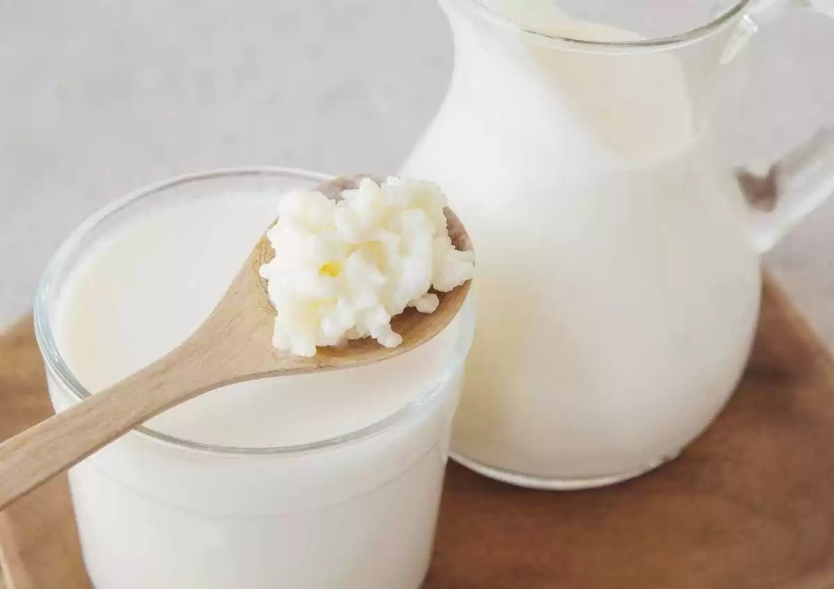 Kefir Alerjik Hastalıkları Önleyebilir