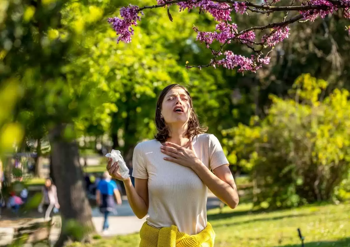 Polen Alerjisi Nedir