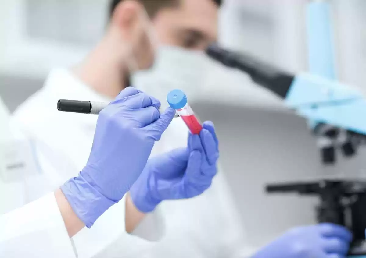 Moleküler Alerji Testi Nasıl Yapılır
