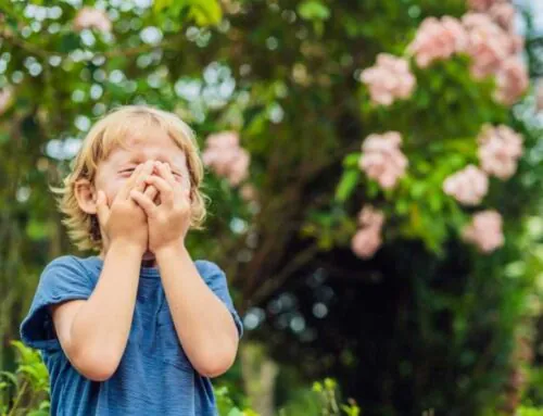Uşaqlarda və böyüklərdə alerji fərqi nədən ibarətdir?